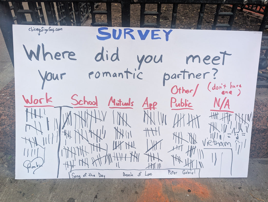 Where did you meet your romantic partner?